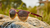 Sunglasses with Red and Yellow frames and Polarized Amber Gradient Lenses, Flyover
