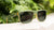 Sunglasses with Glossy Green Frames and Polarized Green Lenses, Flyover