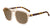 Sunglasses with Glossy translucent amber fronts Matte tortoise shell arms Polarized amber lenses